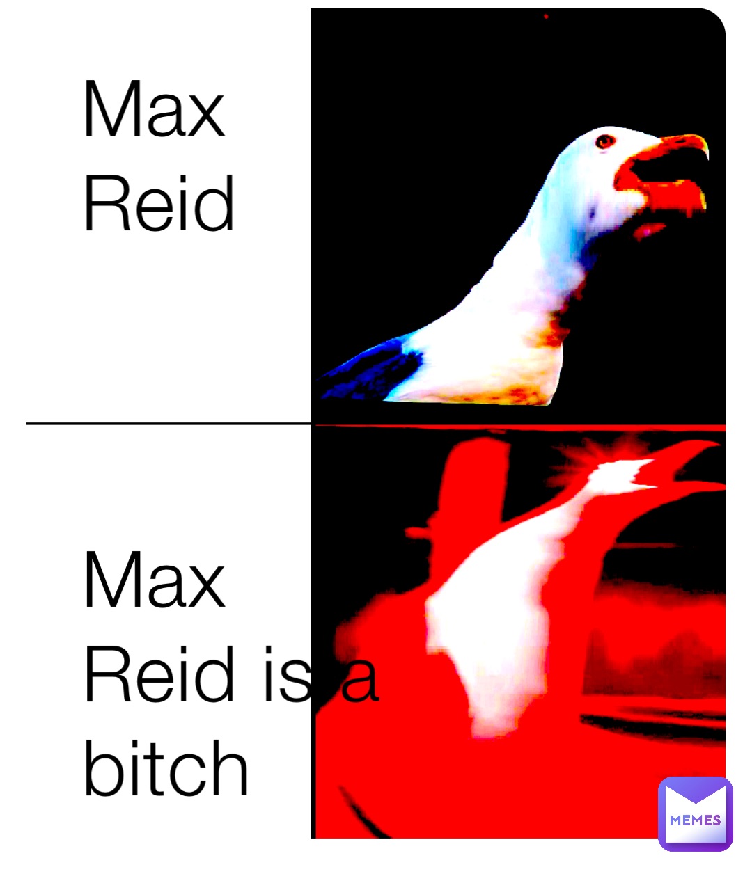 Max Reid



Max Reid is a bitch