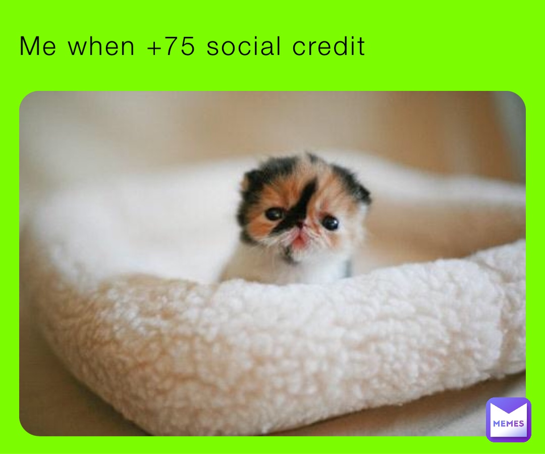 Me when +75 social credit