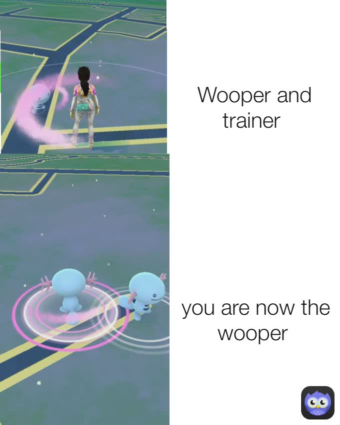 you are now the wooper  Wooper and trainer 