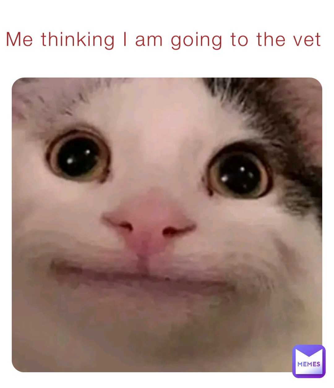 Me thinking I am going to the vet