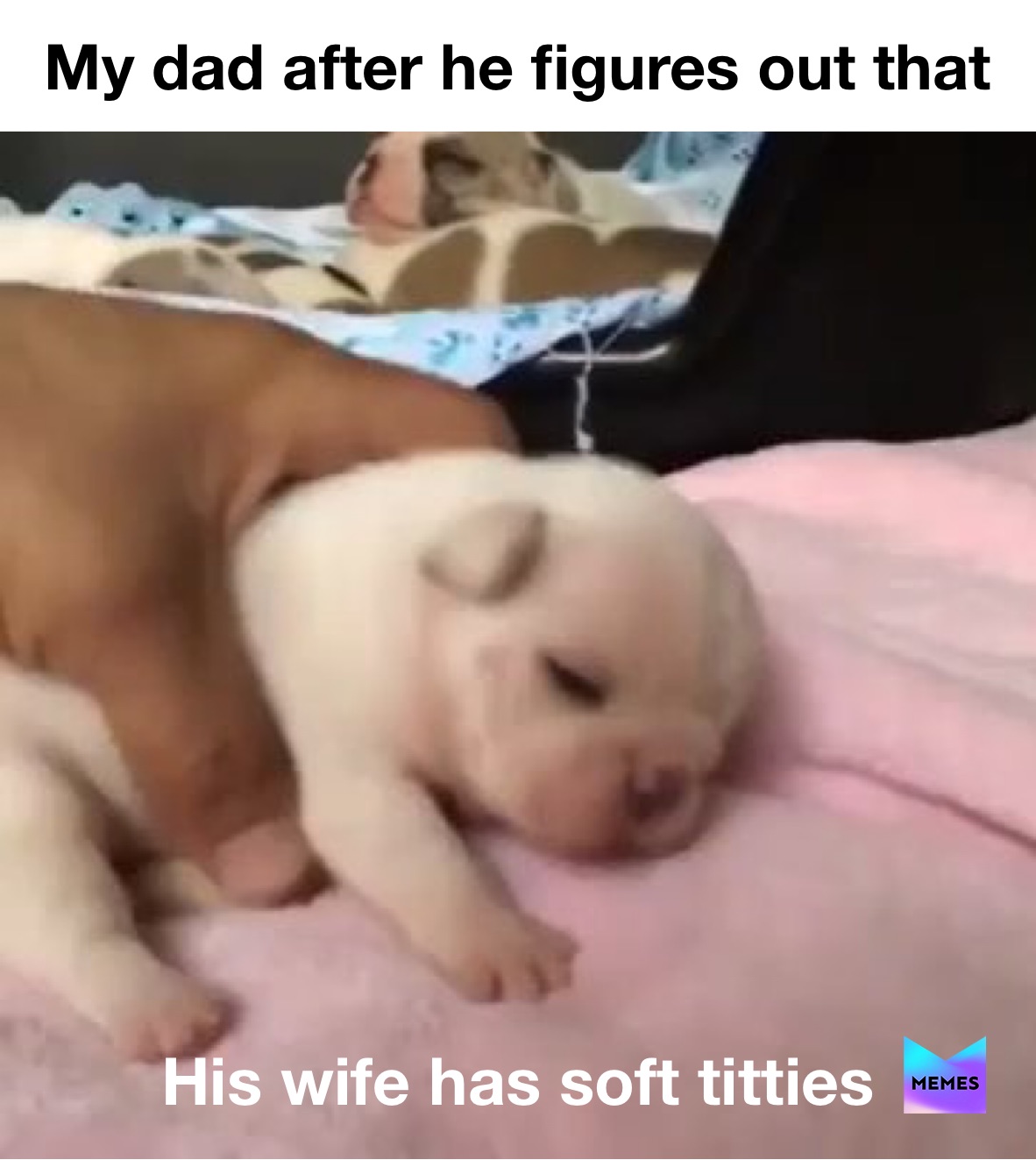 Meme by these_nutty_cats