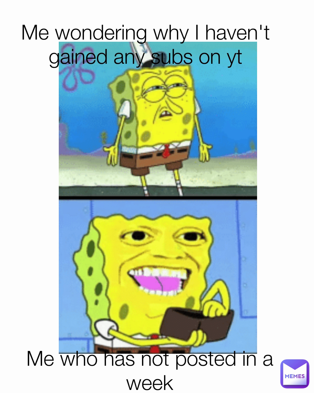 Me who has not posted in a week Me wondering why I haven't gained any subs on yt
