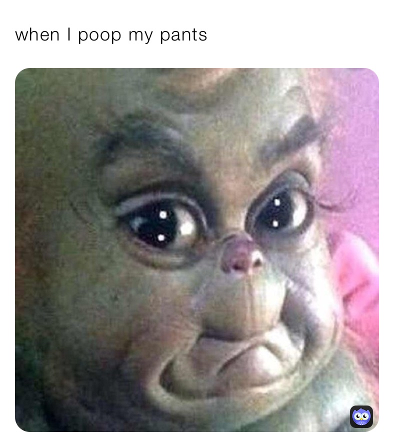 when-i-poop-my-pants-nytely-memes