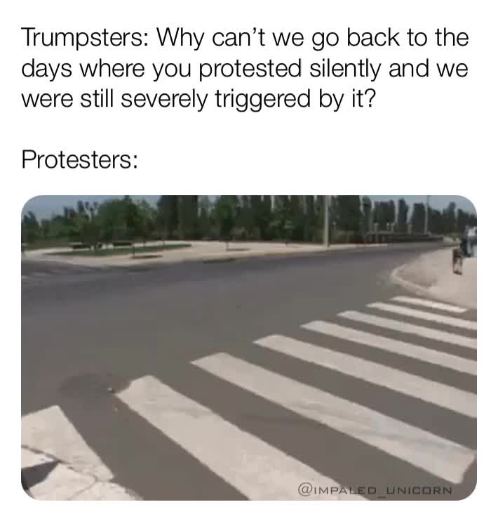 #georgefloyd  #karen  #protest