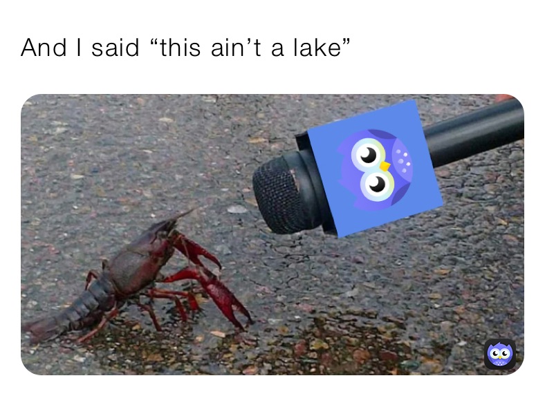 And I said “this ain’t a lake”