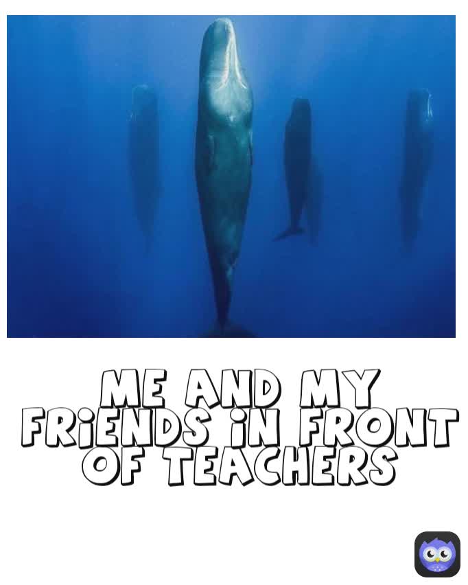 Meme by ayeshasiddiqua8981