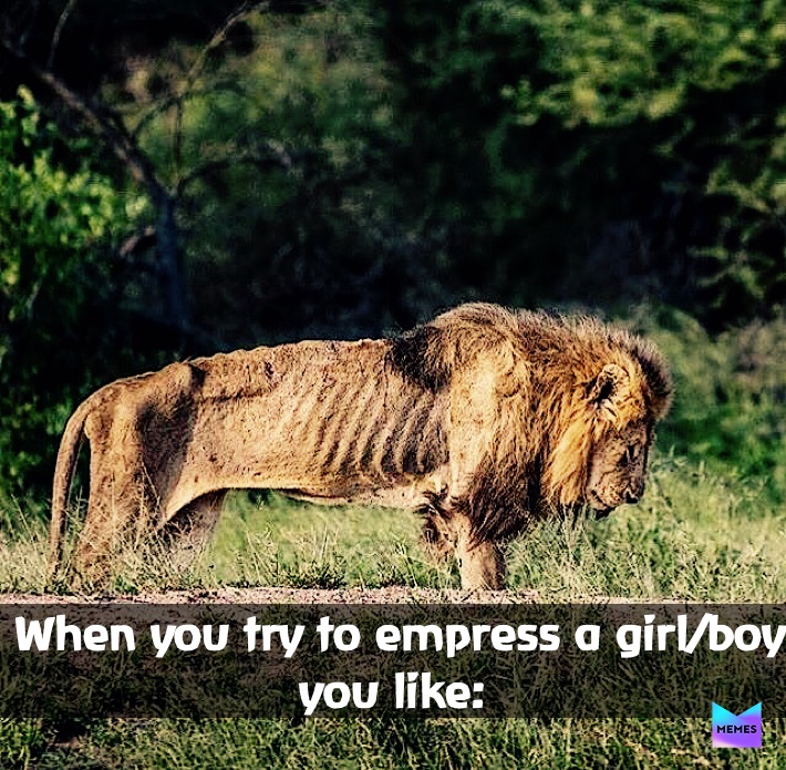 Meme by hi_itzz_me_from_tiktokkkk