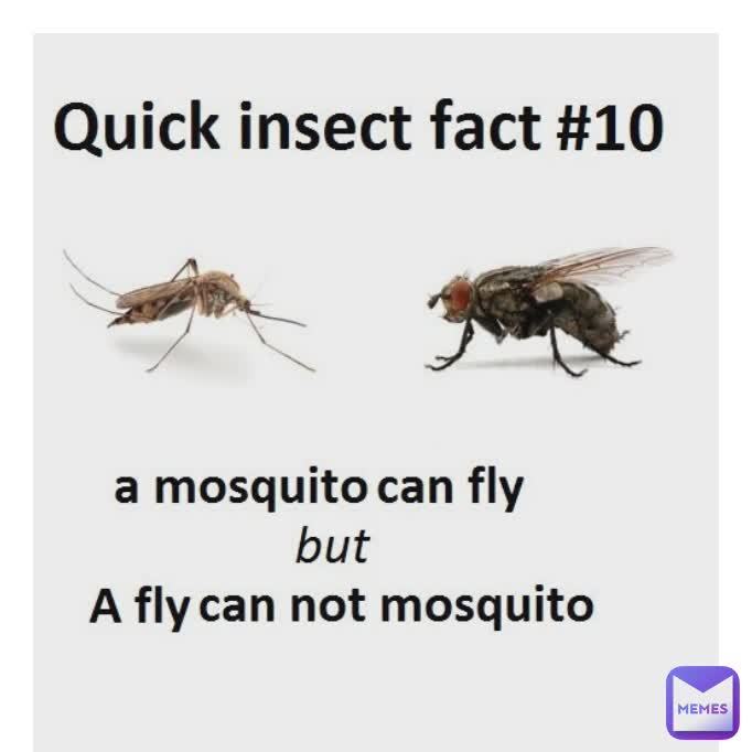 Type Text