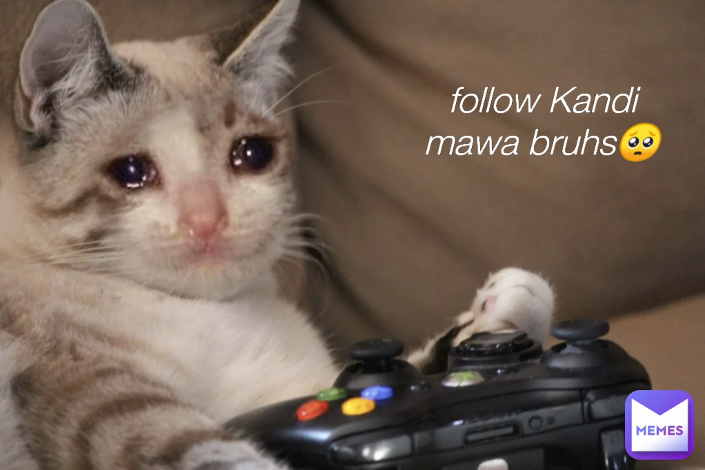 follow Kandi mawa bruhs🥺 | @umesh-yadav | Memes