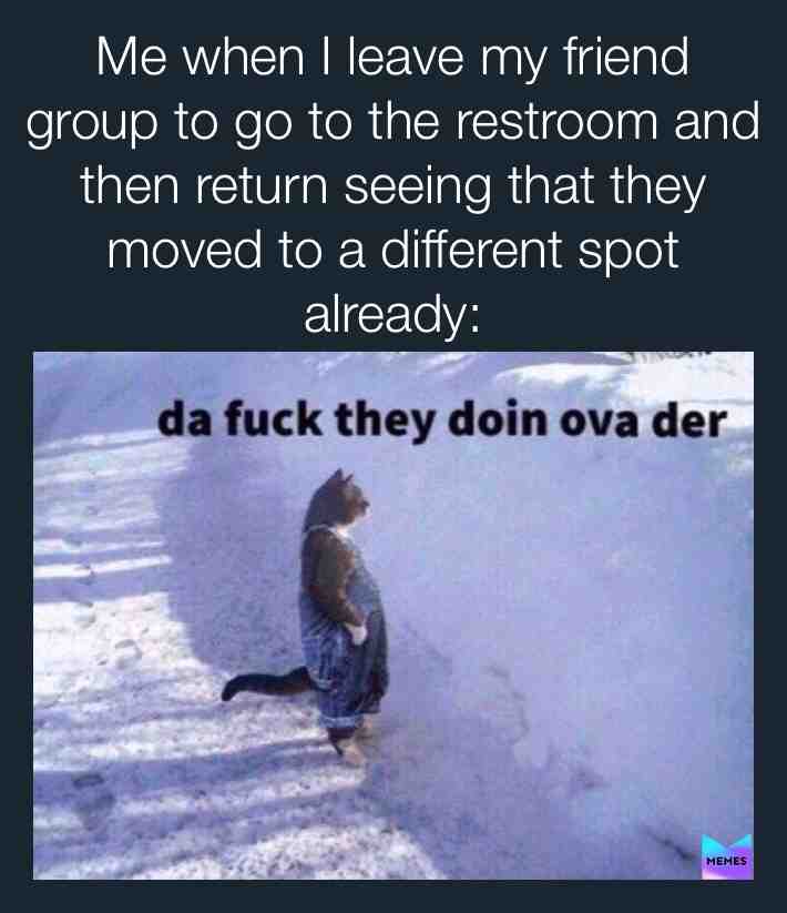 Ahaha..🤦🏻♀️ #facts #relatable #meme #cats #joke #friends #school