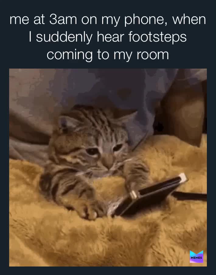 Jello guys I haven’t been active on this app for like a month💀but here’s this 😂😌👋🏼thx for not unfollowing me.  #cats  #relatable  #sleeptime  #facts