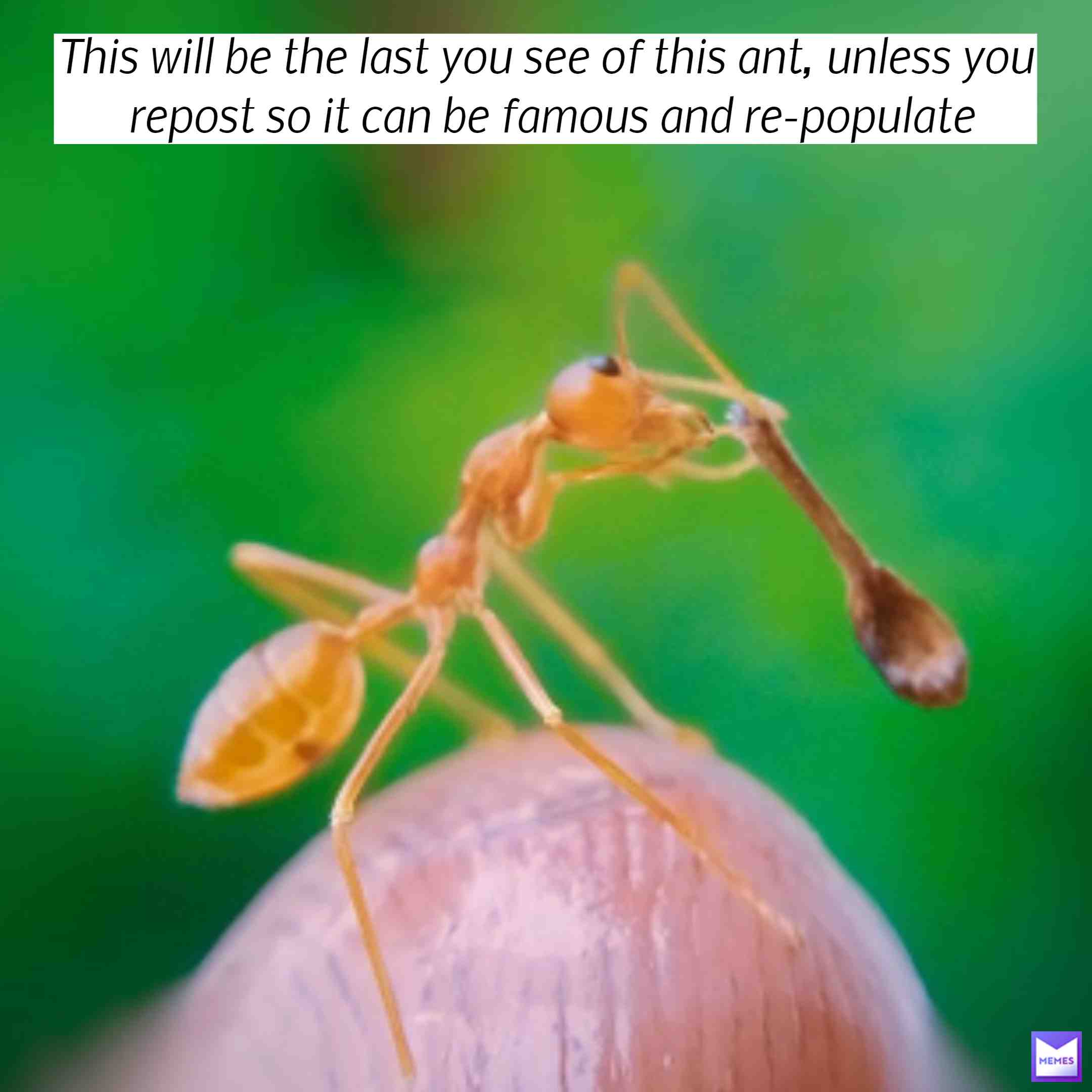 Meme shared by @ATLAlover100