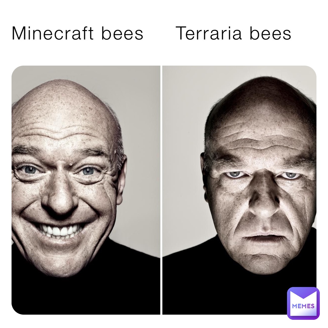 Minecraft bees     Terraria bees