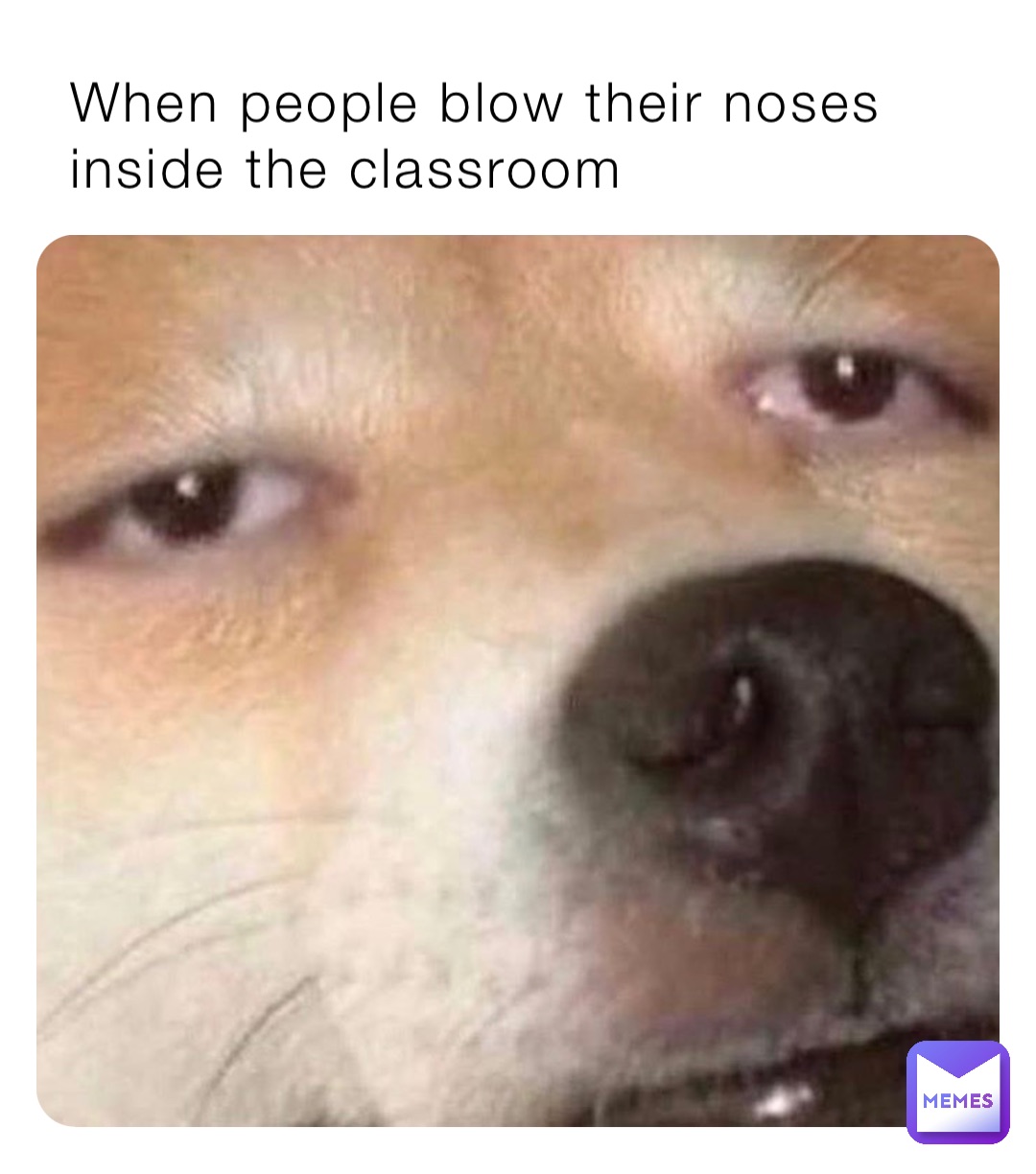 When people blow their noses inside the classroom Jade2468 Memes