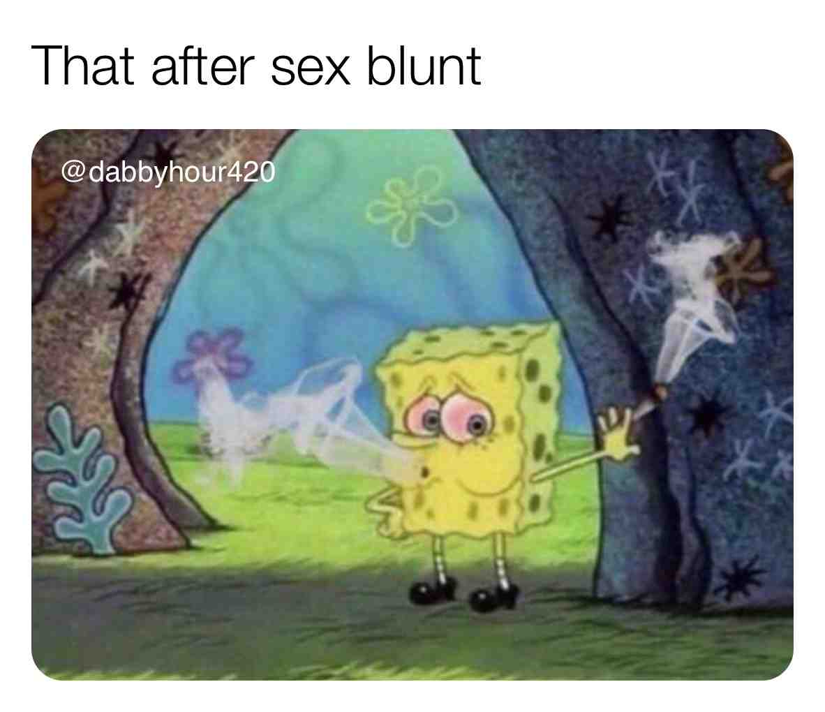 Ima need 2 blunts and I\u2019m ready for round 2 \ud83d\ude24
.
#highsex #weedandsex #weedsex #stonersbelike #stonermemes #dankmemesdaily #haze #sativa #kush #hempoil #weedoil #dabrips #potheads #potheadsociety #hightimes #weedmemes #weedculture #420life #420memes #ganjafarmer #weedlife #humboldtcounty #humboldt #weedjokes #420friendly #420friends #thcoil #uncensored #weedporndaily #weedporn