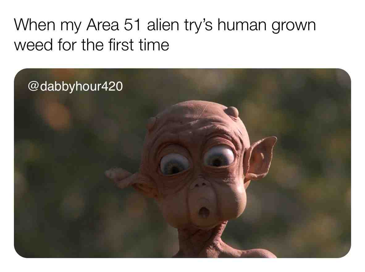 Who else is getting they own alien? \ud83d\ude02\ud83d\ude02
.
#weedculture #stonermemes #420love #420\ud83c\udf41 #stonerchicks #stonercouples #weedhumor #stonerhumor #ganjagoddess #area51memes #ganjalover #area51 #cultivation #cultivate #weedstrains #weedoil #dispensary #shatter #bonghits #bongbabes #dankmemes #dankweed #area51\ud83d\udc7d #dankmemesdaily #spongebobmeme #thcwax #waxpen #marijuanagrowers #potheadsociety #weedgirls
