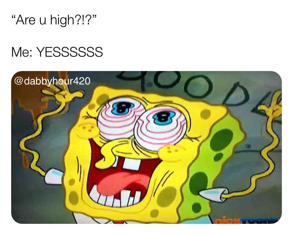 Can someone please ask me \ud83e\udd2f
.
.
#weedculture #stonermemes #420love #420\ud83c\udf41 #stonerchicks #stonercouples #weedhumor #stonerhumor #ganjagoddess #ganjaburn #ganjalover #hightimescannabiscup #cultivation #cultivate #weedstrains #weedoil #cbdvape #shatter #bonghits #bongbabes #dankmemes #dankweed #dankdank #dankmemesdaily #spongebobmeme #thcwax #waxpen #marijuanagrowers #potheadsociety #weedgirls