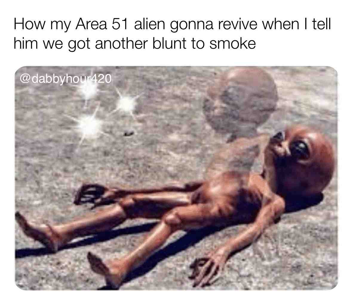 Who\u2019s getting they own alien \ud83d\ude02
.
#weedculture #stonermemes #420love #420\ud83c\udf41 #stonerchicks #stonercouples #weedhumor #stonerhumor #ganjagoddess #area51memes #ganjalover #area51 #cultivation #cultivate #weedstrains #weedoil #dispensary #shatter #bonghits #bongbabes #dankmemes #dankweed #area51\ud83d\udc7d #dankmemesdaily #spongebobmeme #thcwax #waxpen #marijuanagrowers #potheadsociety #weedgirls