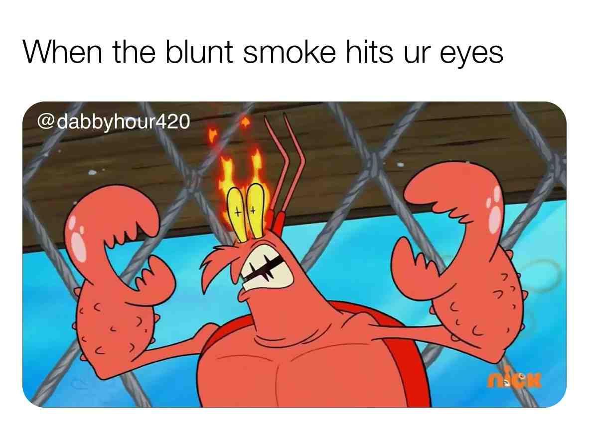 It\u2019s a love hate feeling \ud83d\ude1e
.
#weedculture #stonermemes #420love #420\ud83c\udf41 #stonerchicks #stonercouples #weedhumor #stonerhumor #ganjagoddess #ganjaburn #ganjalover #hightimescannabiscup #cultivation #cultivate #weedstrains #weedoil #cbdvape #shatter #bonghits #bongbabes #dankmemes #dankweed #dankdank #dankmemesdaily #spongebobmeme #thcwax #waxpen #marijuanagrowers #potheadsociety #weedgirls