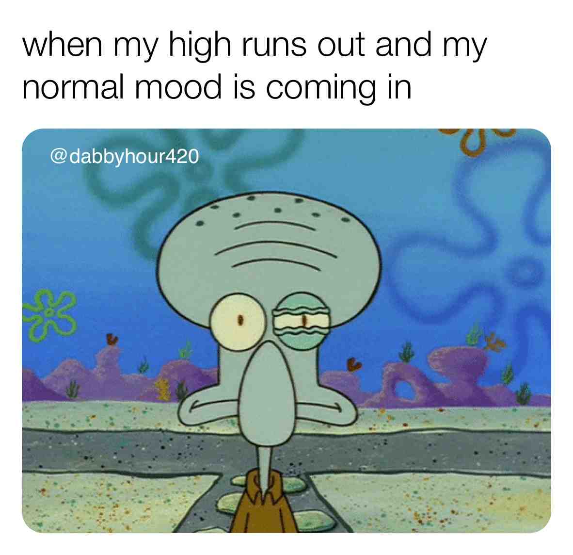Plss plug answer the phone already \ud83d\ude2d
.
.
#stonermemes #weedmemes #weedmemedaily #dankmemes #marijuanajokes #marijuanamovement #weedculture #420life #420gang #420models #420model #kushclub #sativa #indica #marijuanacommunity #gethighwithme #dab #bongrips #bonghits #bongripsfordays #weedbabes #stonerbabes #rawpapers #wizkhalifa #rollup #smokeweeddaily