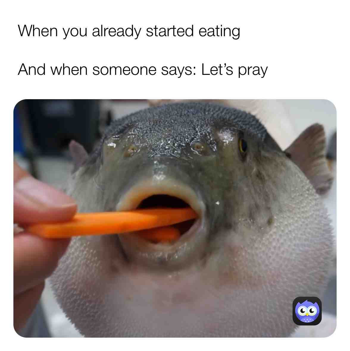 Meme shared by @west_242446