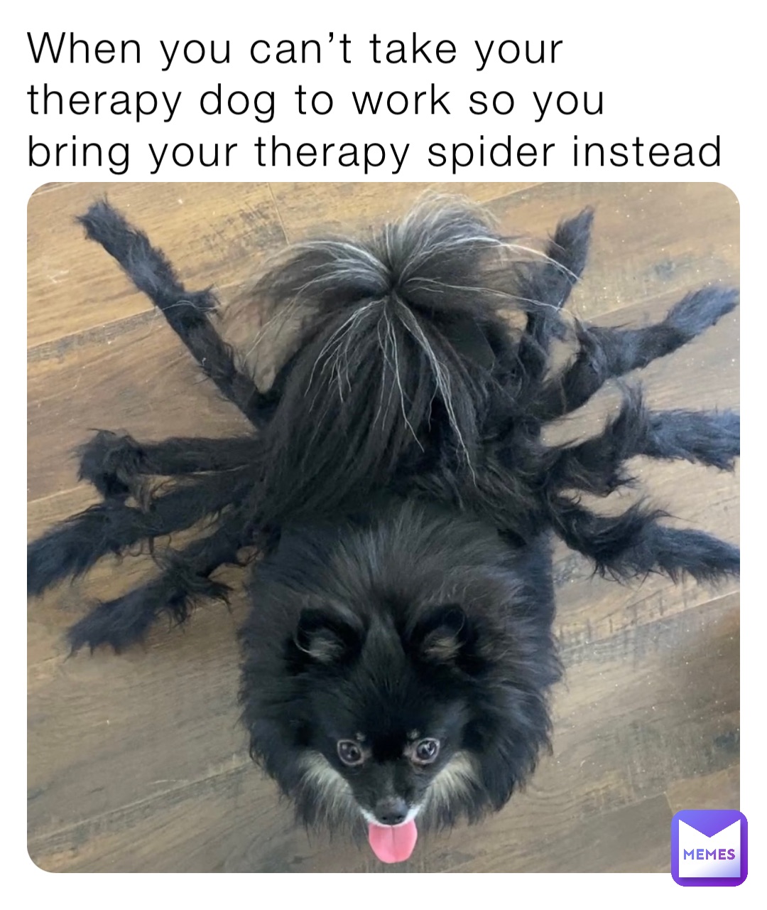 Meme by jessa.leinen