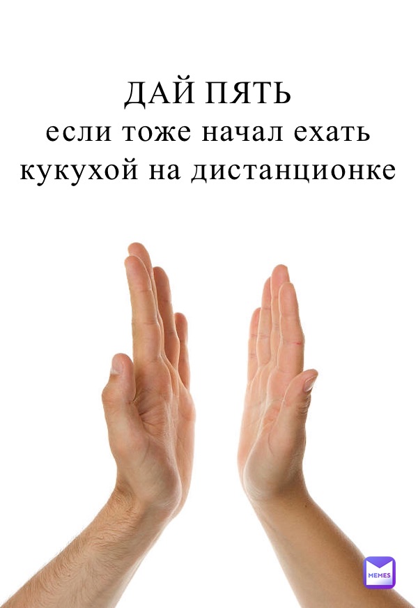 

ДАЙ ПЯТЬ
если тоже начал ехать кукухой на дистанционке