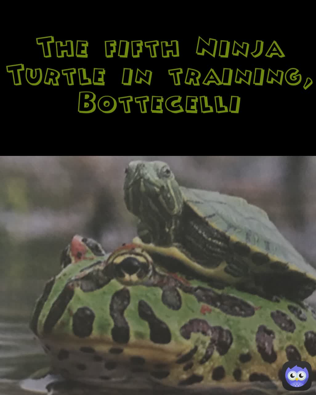 The fifth Ninja Turtle in training, Bottecelli