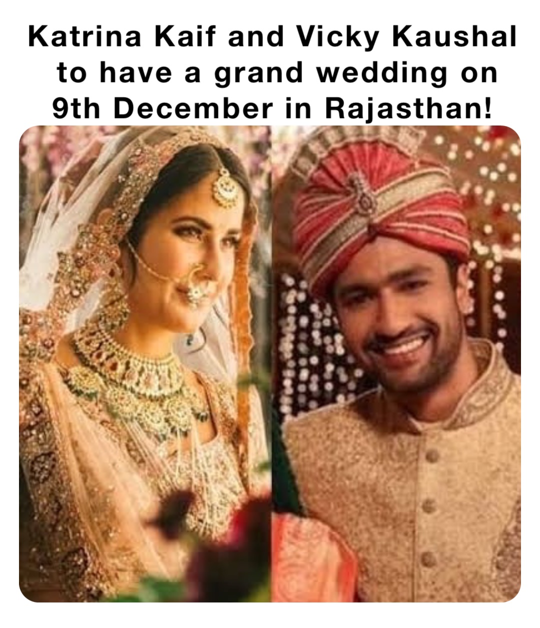 Katrina Kaif and Vicky Kaushal to have a grand wedding on 9th December in Rajasthan!