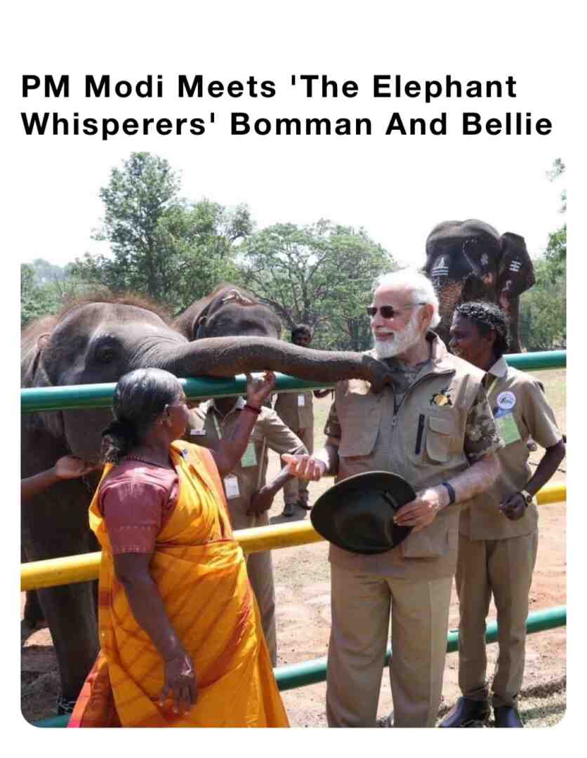 PM Modi Meets 'The Elephant Whisperers' Bomman And Bellie #pmmodi #modiji #theelephantwhisperers