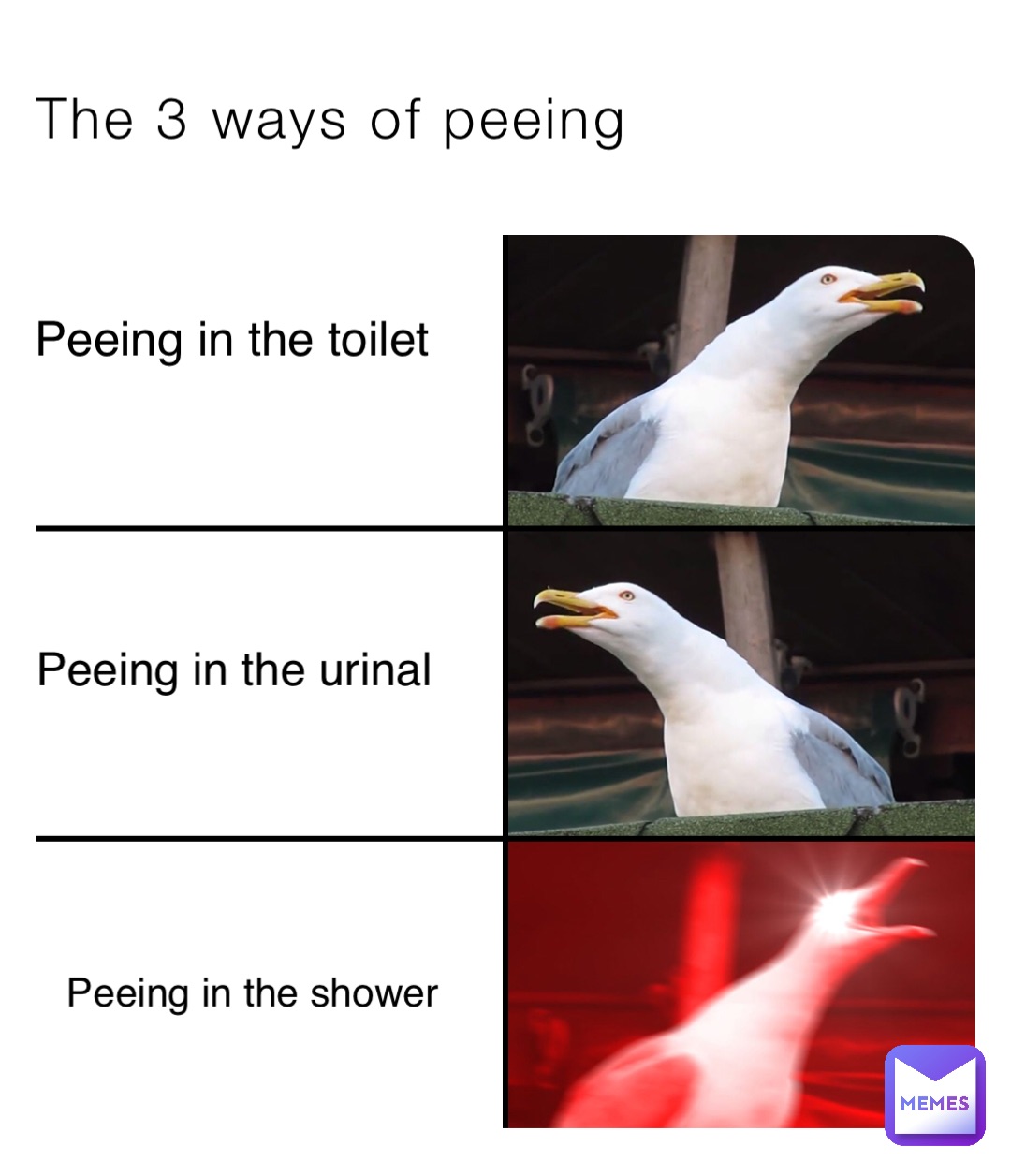 The 3 ways of peeing Peeing in the toilet Peeing in the urinal Peeing in the shower