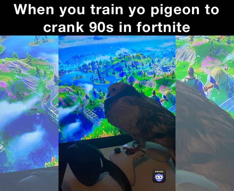 When you train yo pigeon to crank 90s in fortnite