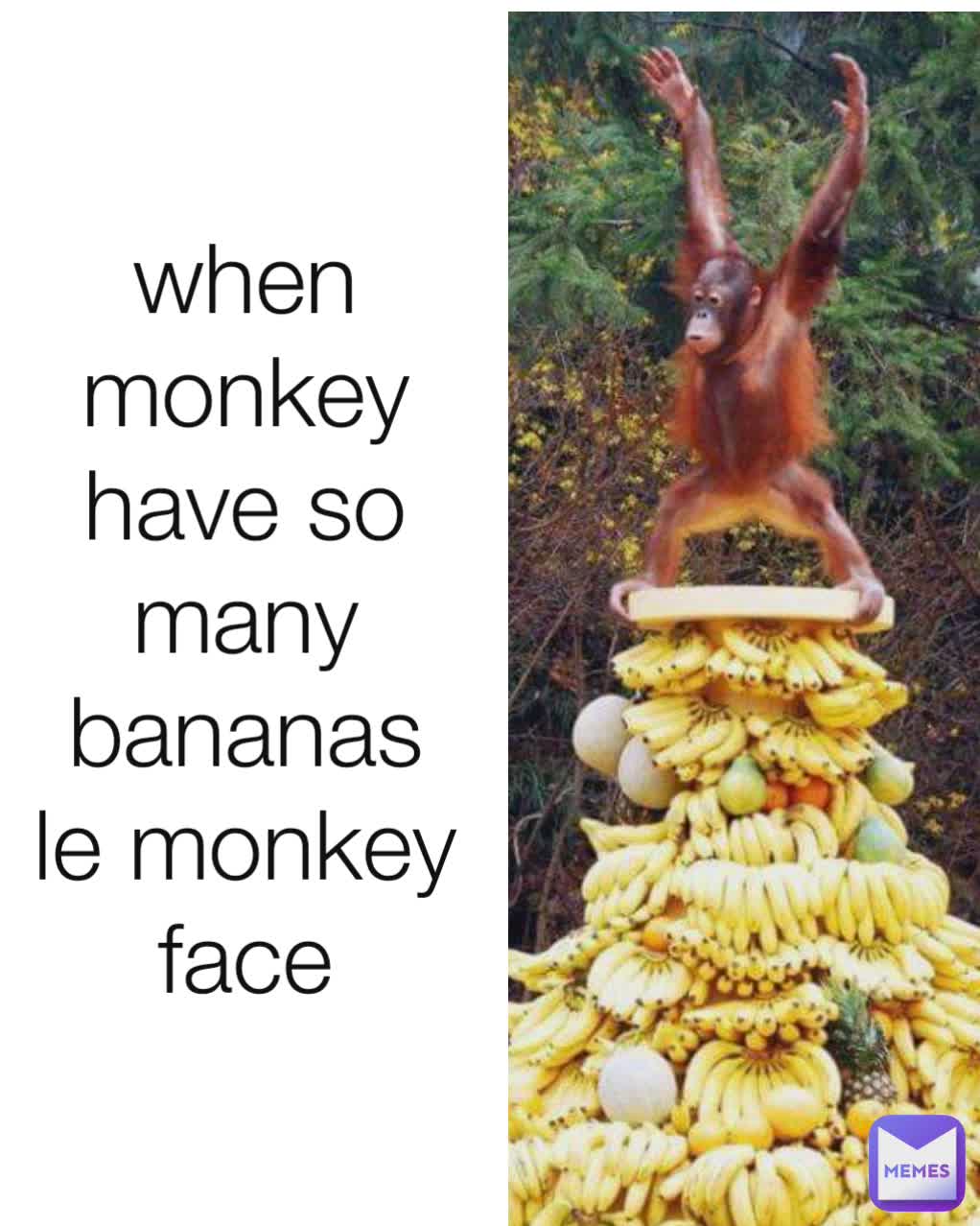 when monkey have so many bananas le monkey face | @sufyan_official_01 ...