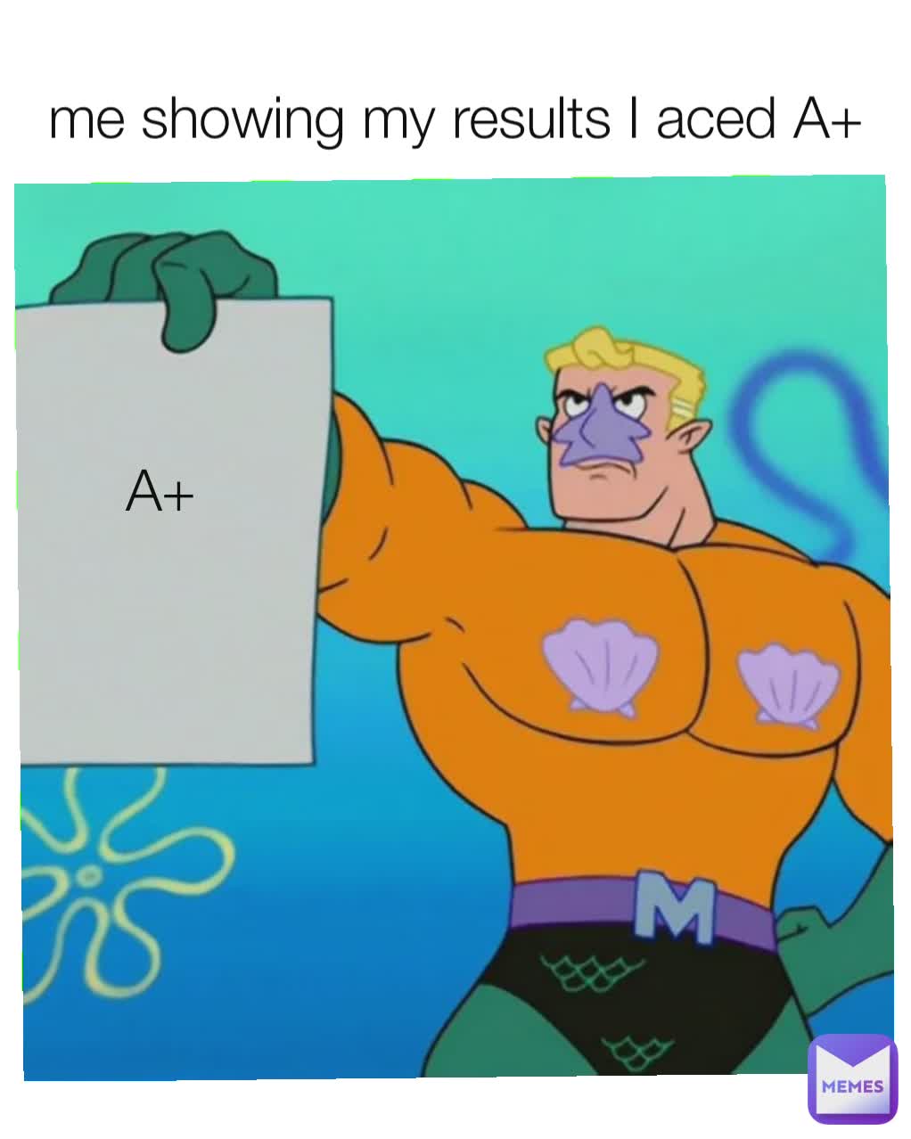 me showing my results I aced A+ A+ A+ A+ A+