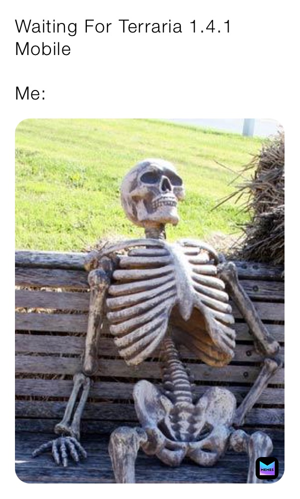 Waiting For Terraria 1.4.1 Mobile

Me: