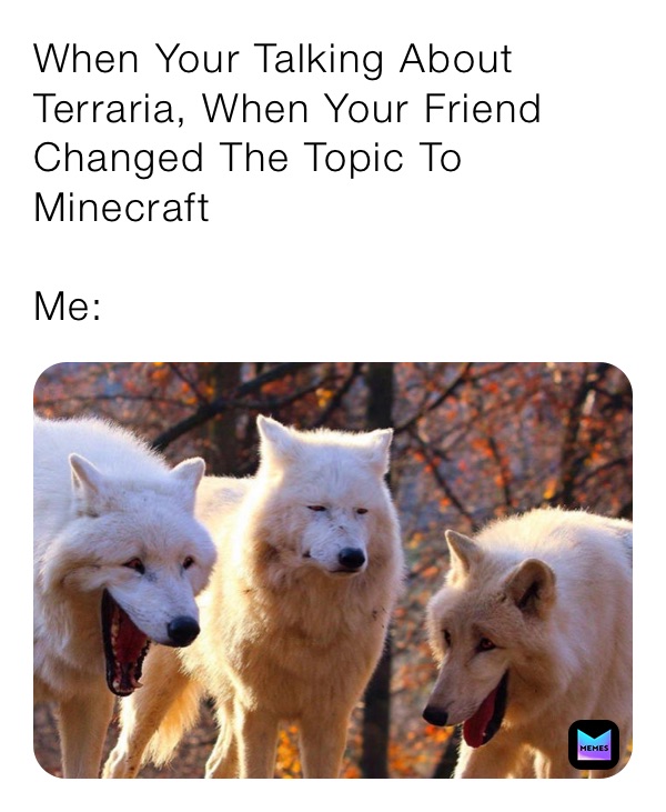 When Your Talking About Terraria, When Your Friend Changed The Topic To Minecraft

Me: