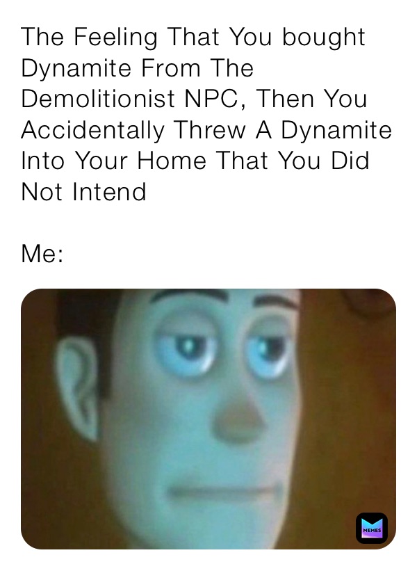 The Feeling That You bought Dynamite From The Demolitionist NPC, Then You Accidentally Threw A Dynamite Into Your Home That You Did Not Intend

Me: