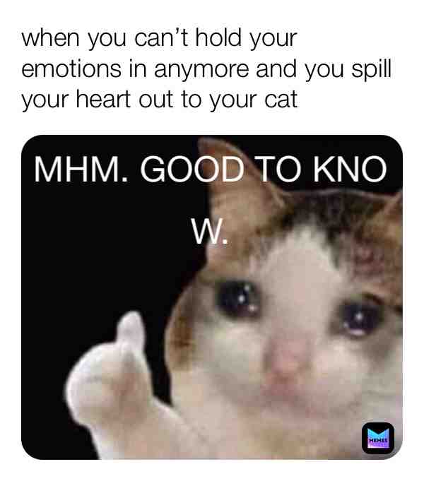 Meme shared by @willowfeather20