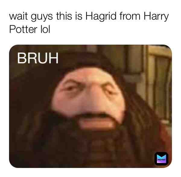 Meme shared by @willowfeather20