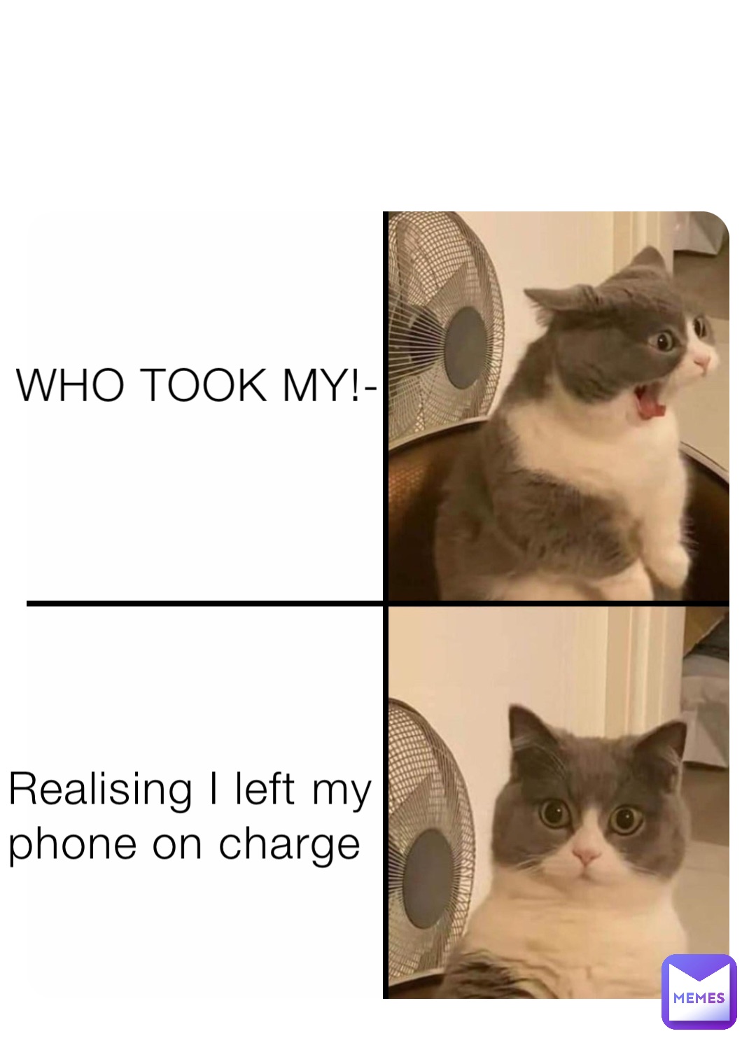 WHO TOOK MY!- Realising I left my 
phone on charge