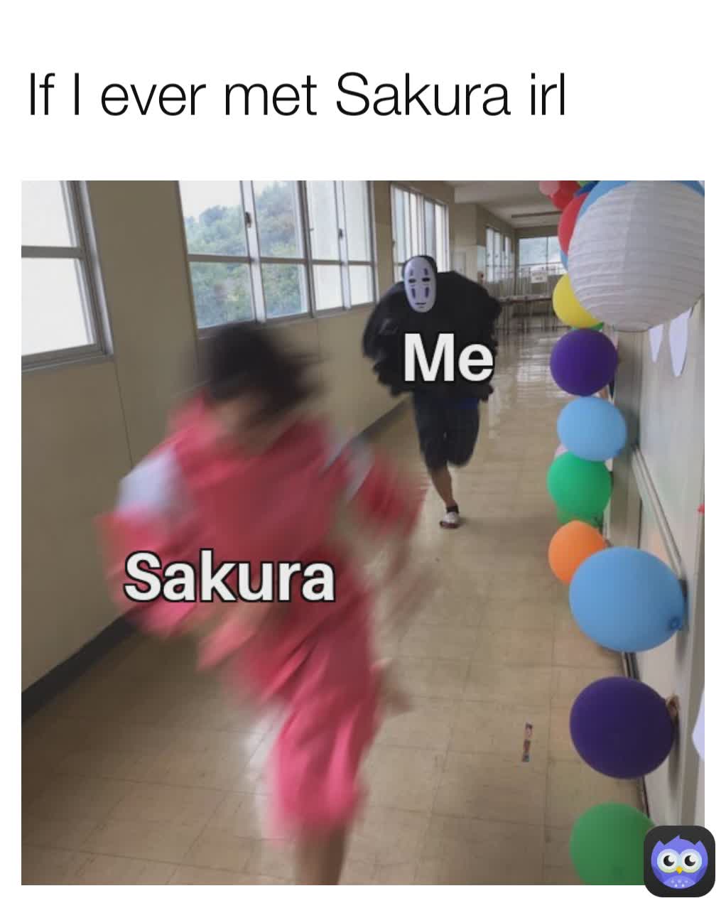 If I ever met Sakura irl