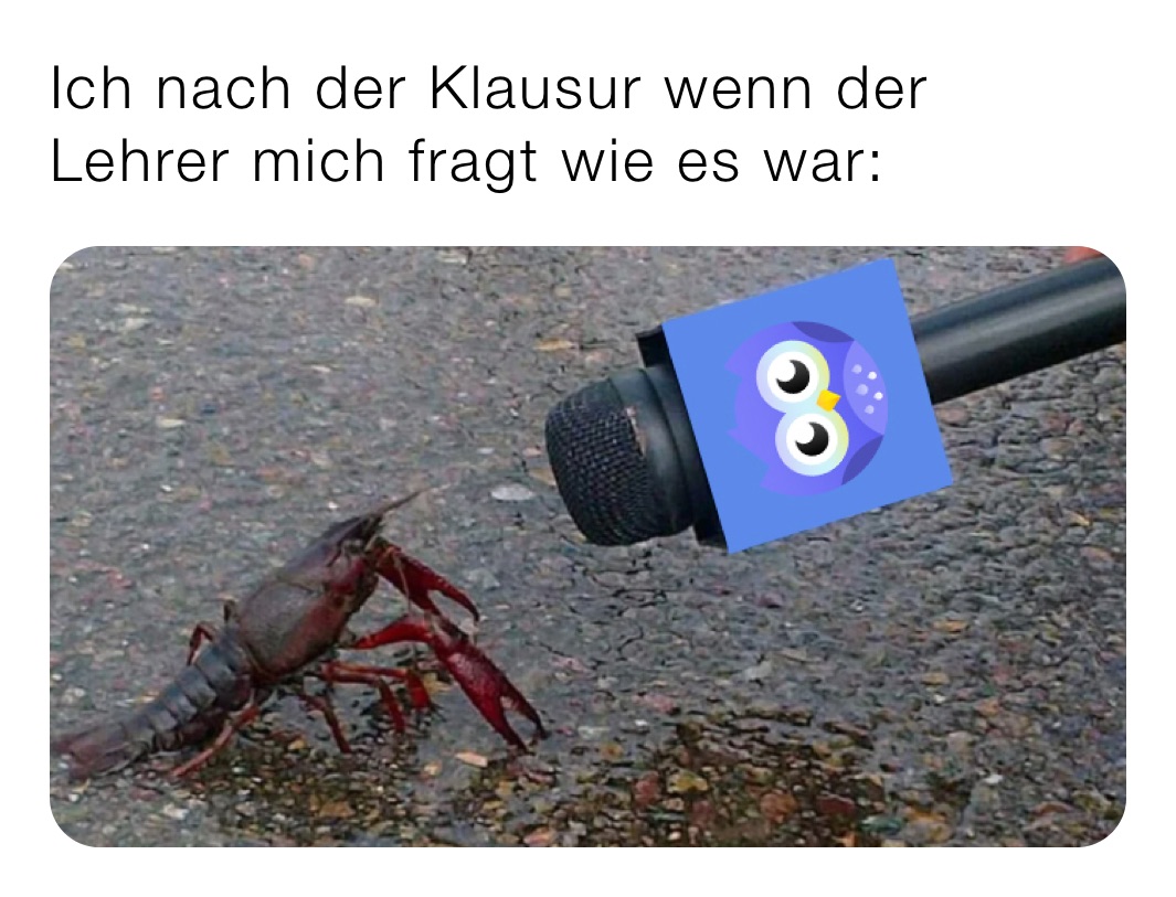 Ich nach der Klausur wenn der Lehrer mich fragt wie es war: