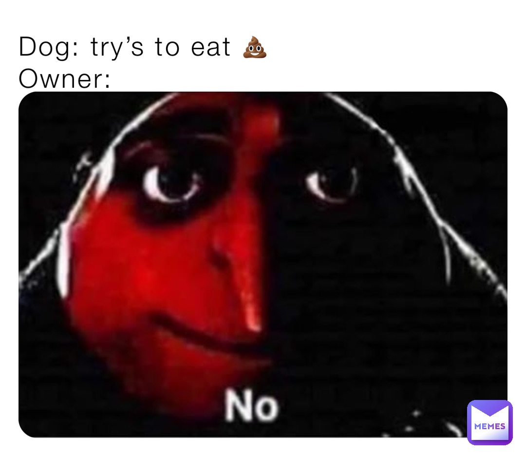 Dog: try’s to eat 💩 
Owner: