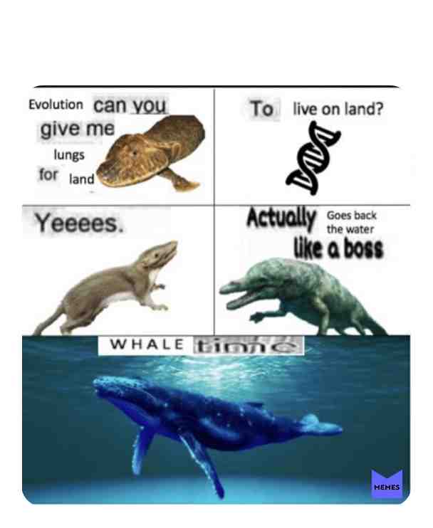 #Whale TIME