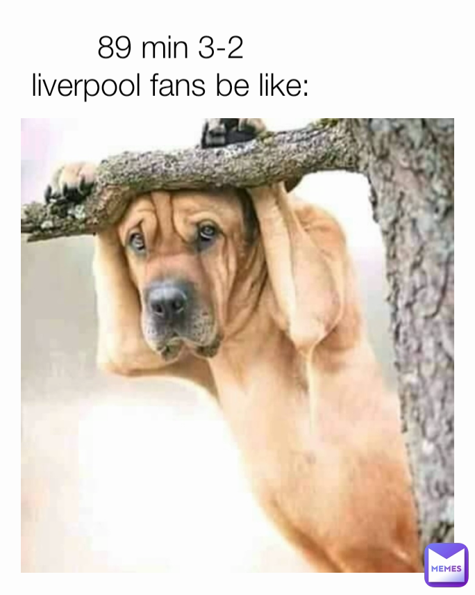 89 min 3-2
liverpool fans be like: