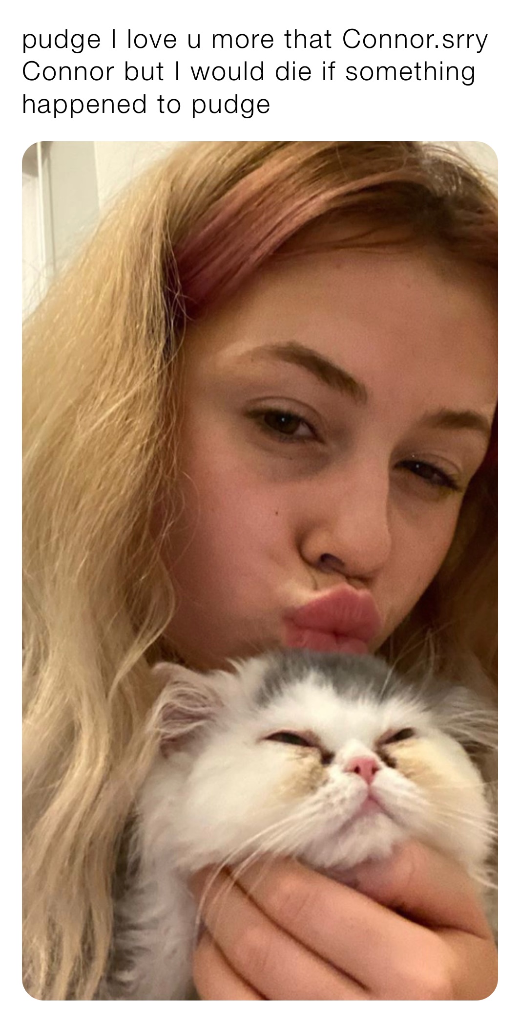 pudge I love u more that Connor.srry Connor but I would die if something happened to pudge 