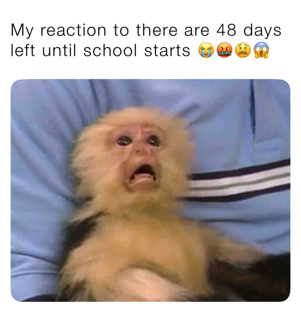 Meme shared by @balldo3