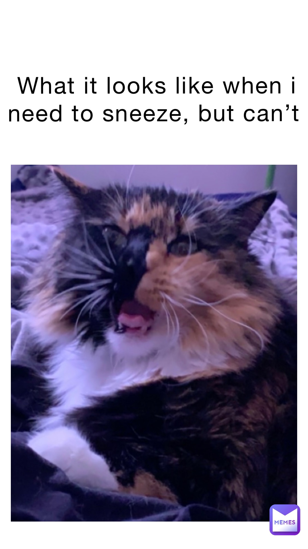 What it looks like when I need to sneeze, but can’t