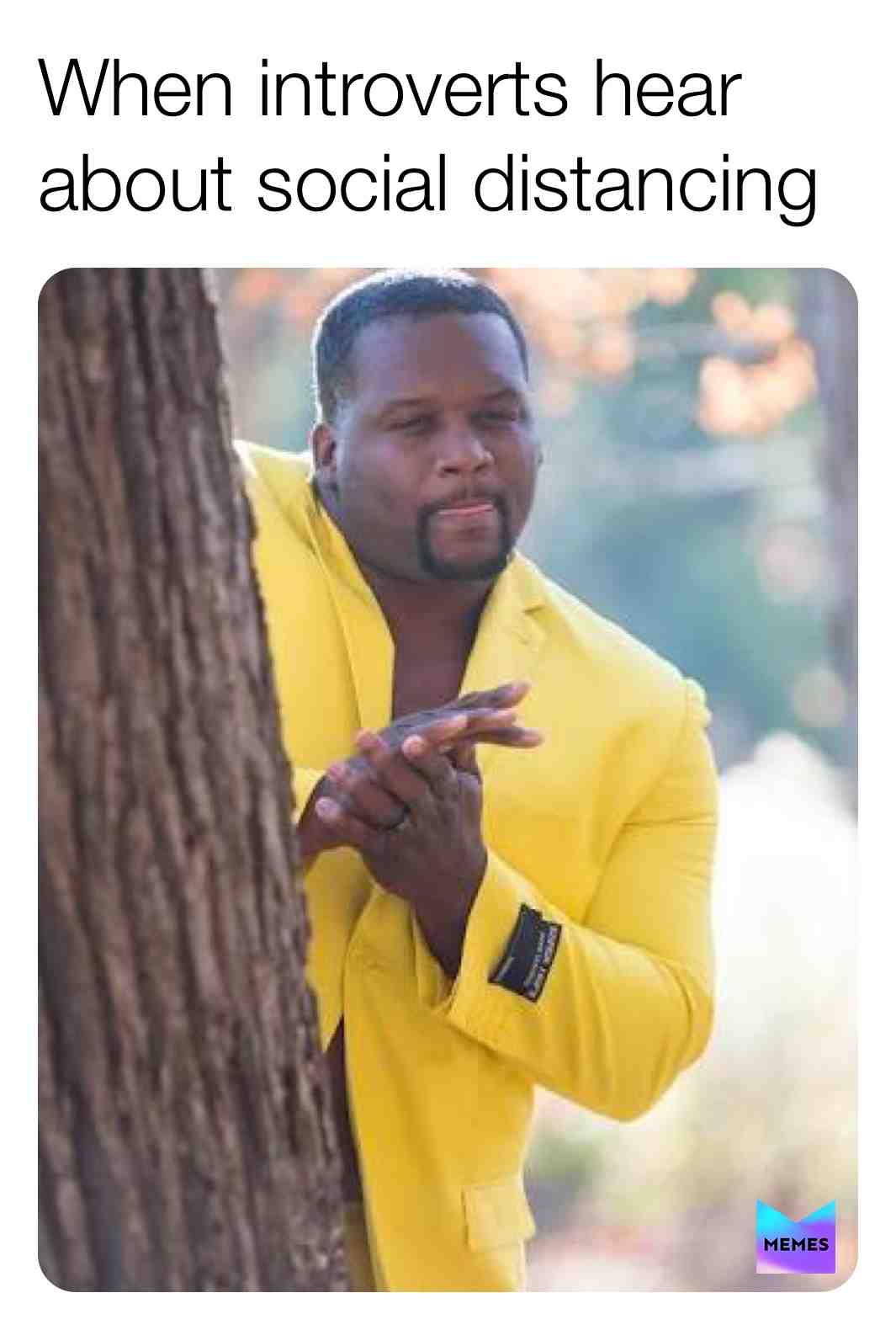 Meme shared by @hoopdas