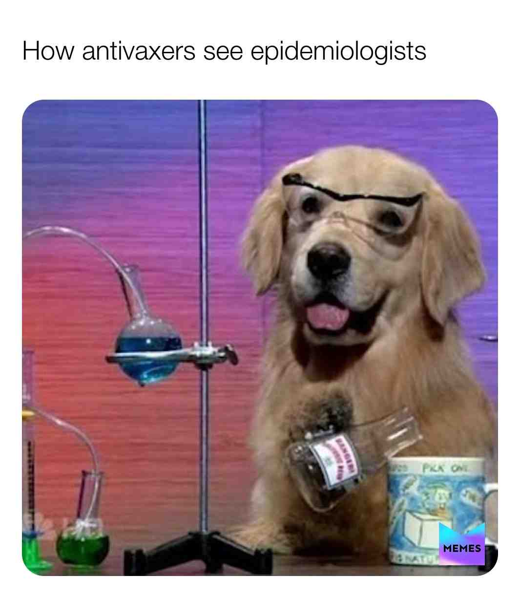 Meme shared by @hoopdas